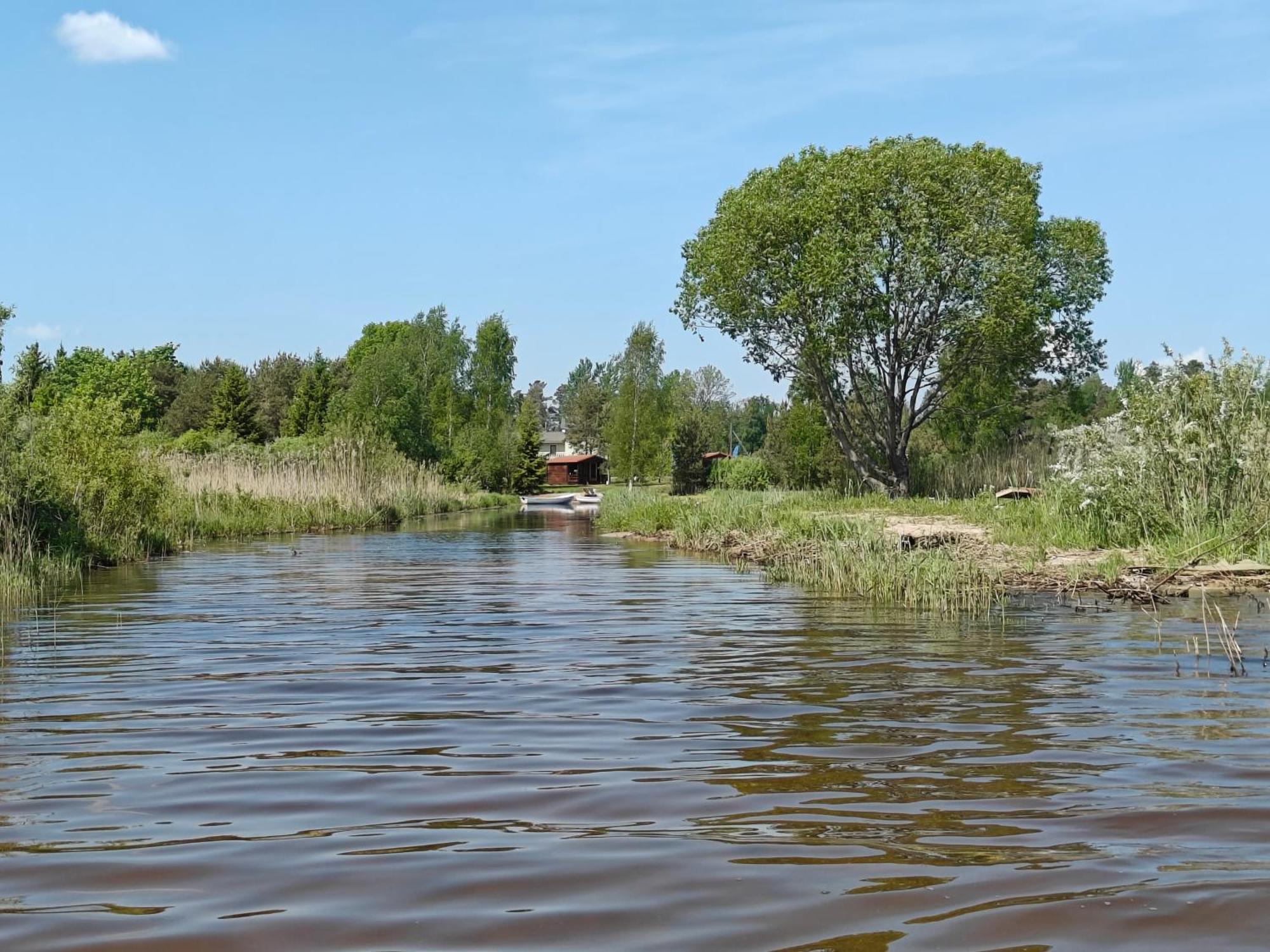 Kaempingud